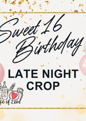 February 22nd – Sweet 16 Birthday All Day Crop