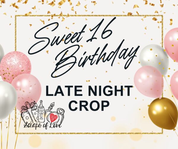 February 22nd - Sweet 16 Birthday All Day Crop