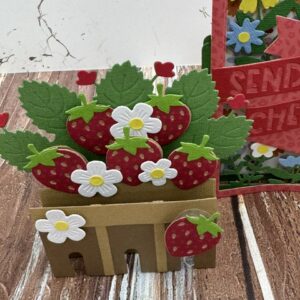 Pink & Main Pop Up Cards Class with Sue | Scraps of Love Arizona on June 5th