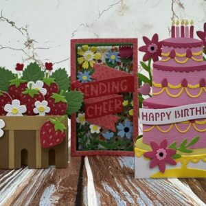 Pink & Main Pop Up Cards Class with Sue | Scraps of Love Arizona on June 5th
