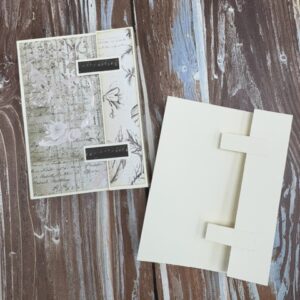 Folio Friday Expanding Pocket Class with Michele | Scraps of Love June 12th
