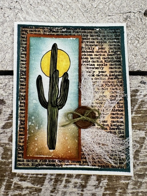 Cactus Allure Arizona Cactus Clear Stamp Set | Scraps of Love - Image 3