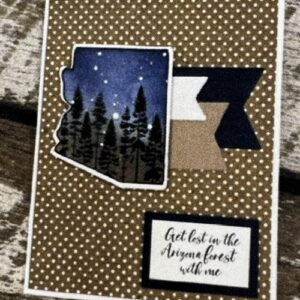 Northern Arizona Clear Stamp Set | Scraps of Love Exclusive