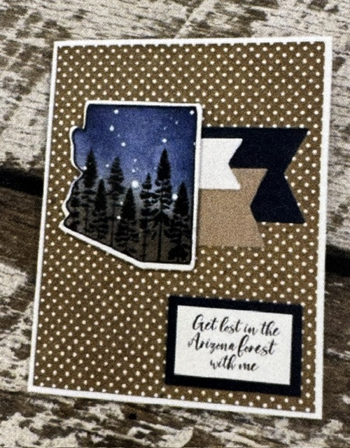 Northern Arizona Clear Stamp Set | Scraps of Love Exclusive - Image 2