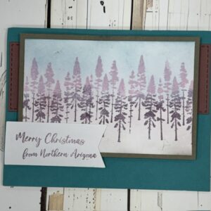 Northern Arizona Clear Stamp Set | Scraps of Love Exclusive