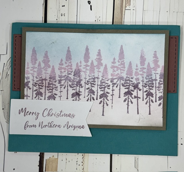 Northern Arizona Clear Stamp Set | Scraps of Love Exclusive - Image 4